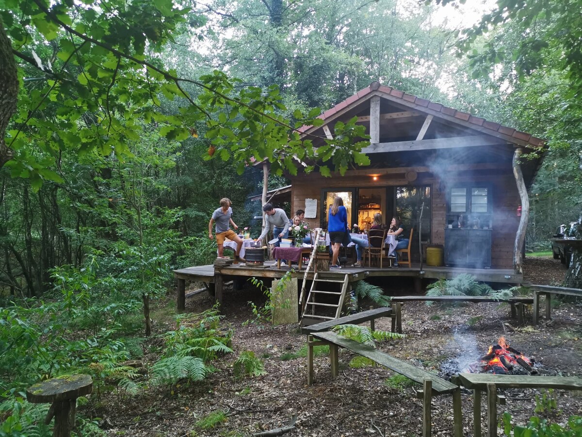 A wooden eco-house is set amidst lush greenery, with a spacious deck featuring a gathering of people enjoying a meal. Nearby, a campfire is lit, surrounded by rustic seating. The ambiance is enhanced by trees and ferns, creating a natural retreat.