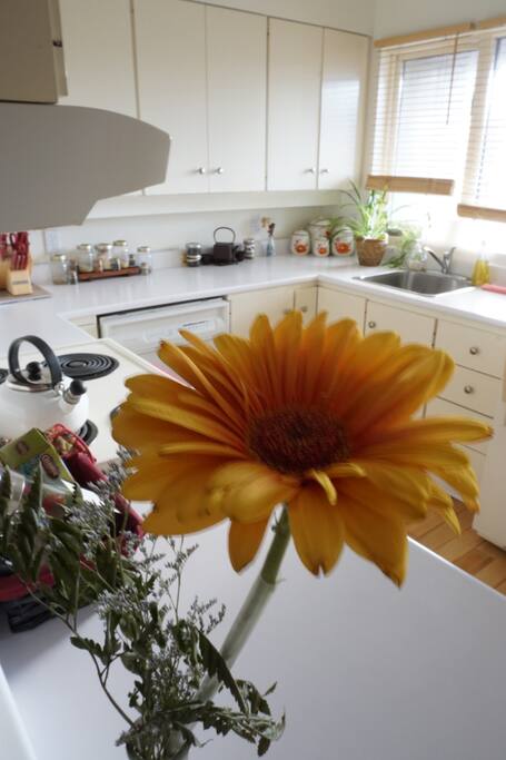 Large functional kitchen