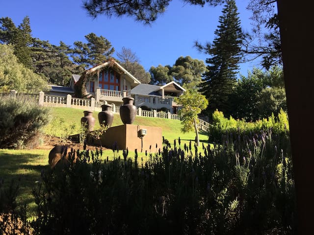 The Ivy Mountain view Retreat gallery image 2