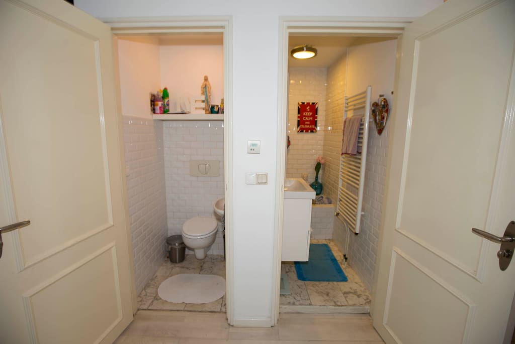 Toilet and bathroom with bath and shower
