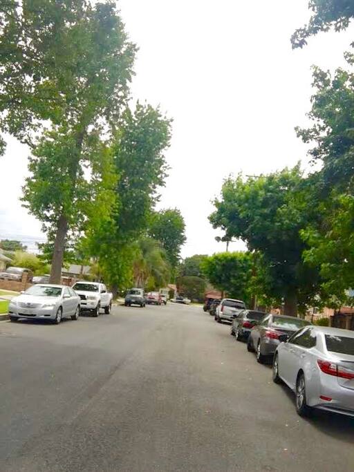 Tree-lined neighborly street.