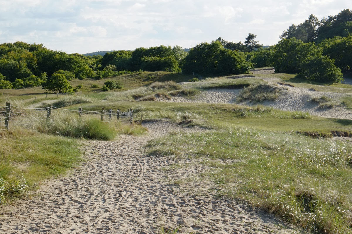 A natural landscape is depicted with sandy pathways winding through lush greenery and gentle hills. The scene is characterized by clusters of trees and grassy areas, conveying a peaceful outdoor environment. Soft sunlight filters through the clouds, illuminating the landscape.