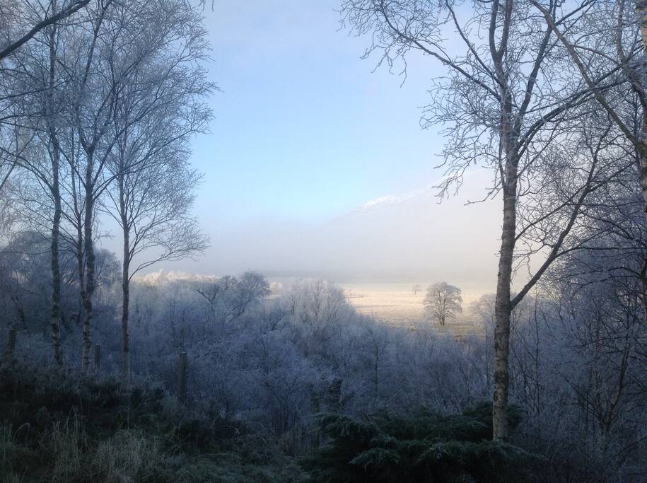 Early morning view in February