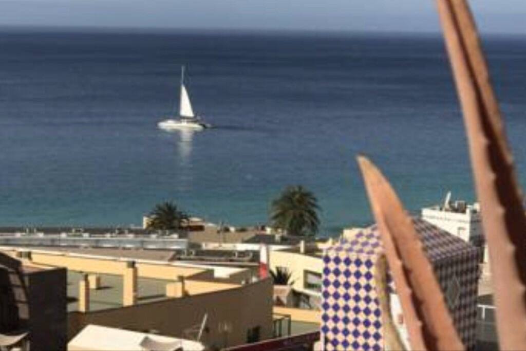 VISTAS