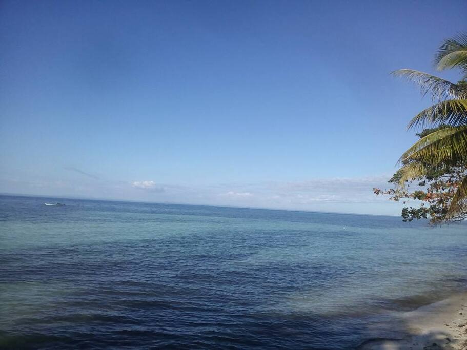 the calm seas