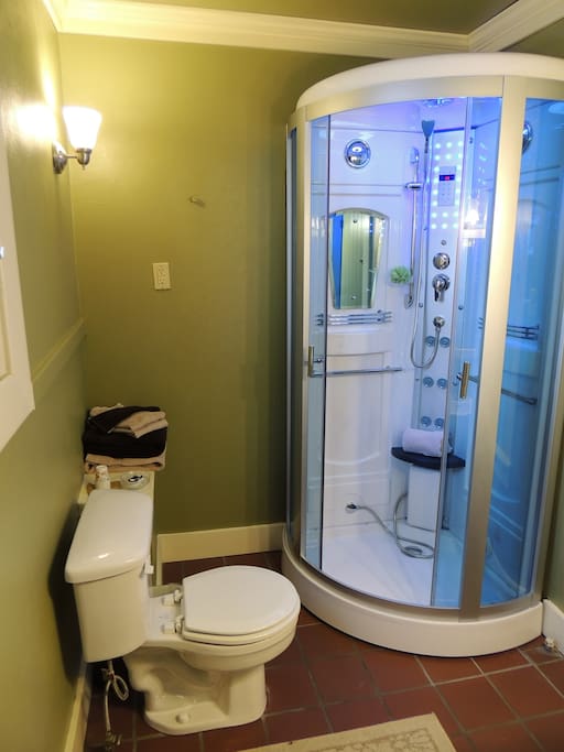 SteamShower with acupressure jets, rain shower, Sauna, Pedi-massage, shaving mirror