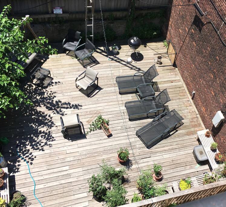 Our lovely backyard, accessed down the main stairs and out a back door