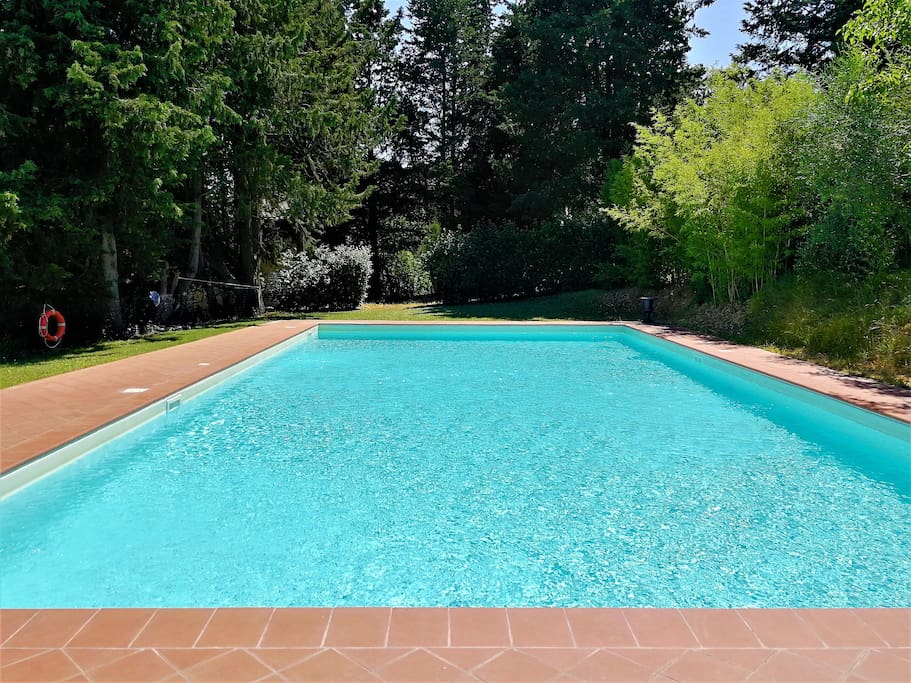 Swimming Pool by the Apartment