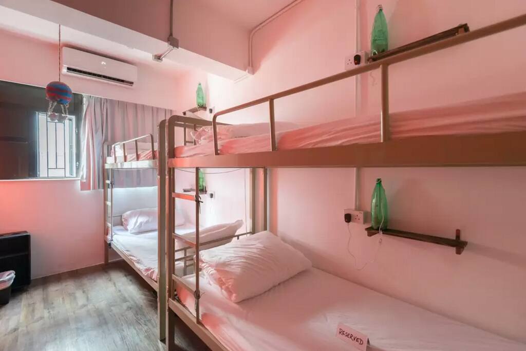 8 bed mixed dorm room
