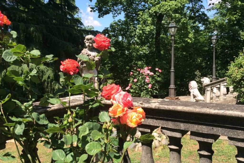 Fioritura di maggio