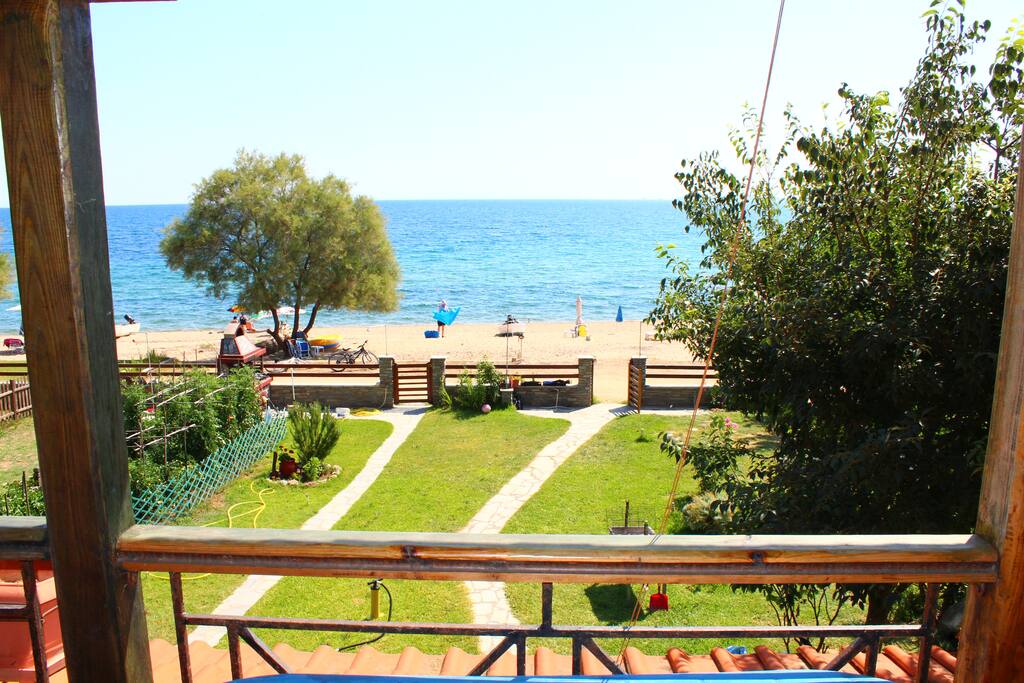 The view