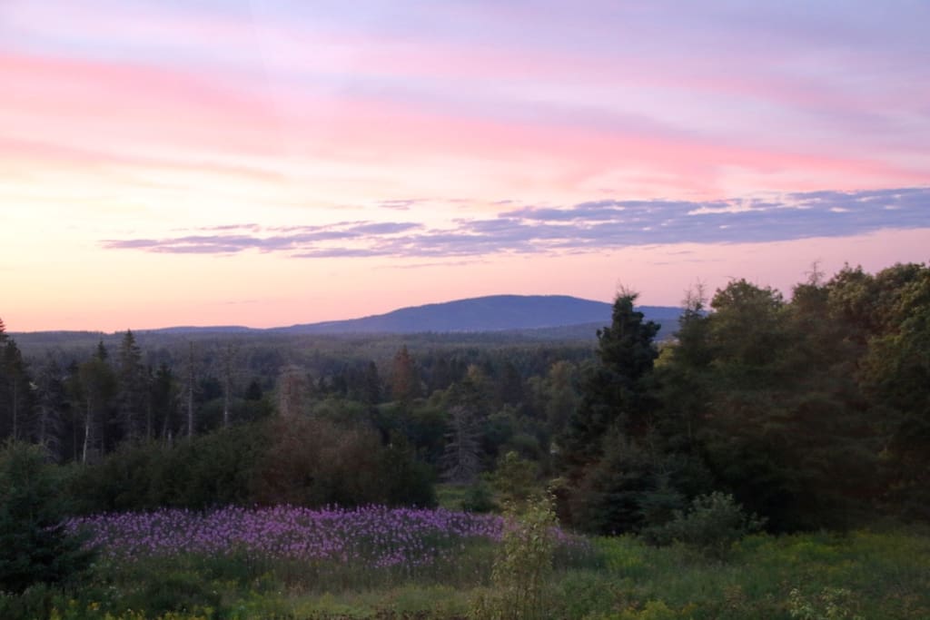 This is the view from your window - Shepody Mountain. Ever- changing, always breathtaking.