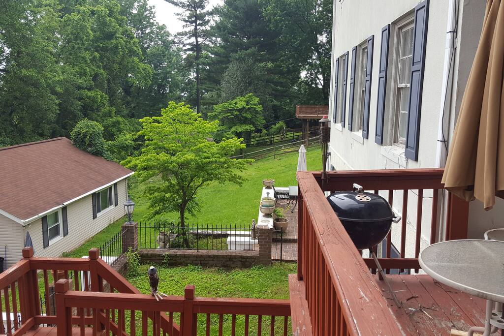 deck & swimming pool