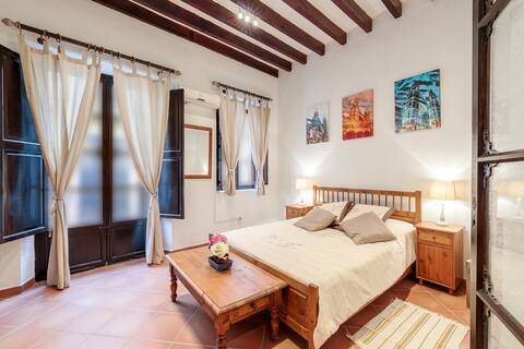 Magnificent and traditional apartment in La Lonja.
