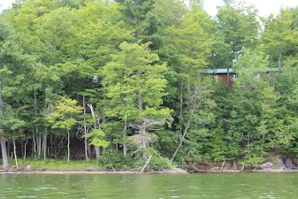 View from the lake
