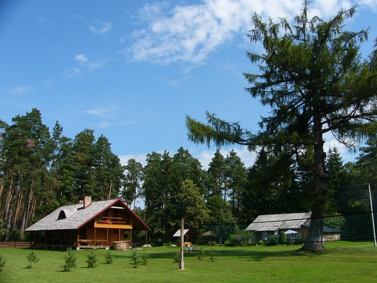 The exterior features a traditional wooden cabin surrounded by lush greenery. A large terrace extends from the front with open skies above, while tall trees and well-maintained grass enhance the tranquil setting. The cabin is complemented by nearby structures and a relaxed outdoor atmosphere.