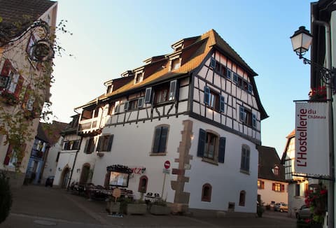 Delightful apartment in the heart of Eguisheim
