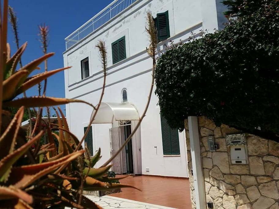 ingresso