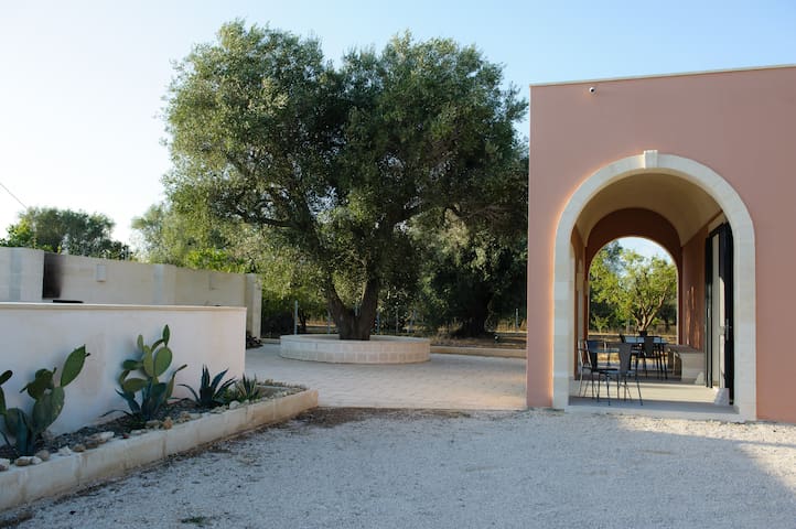 Casa Vita – a paradise in the olive grove gallery image 2