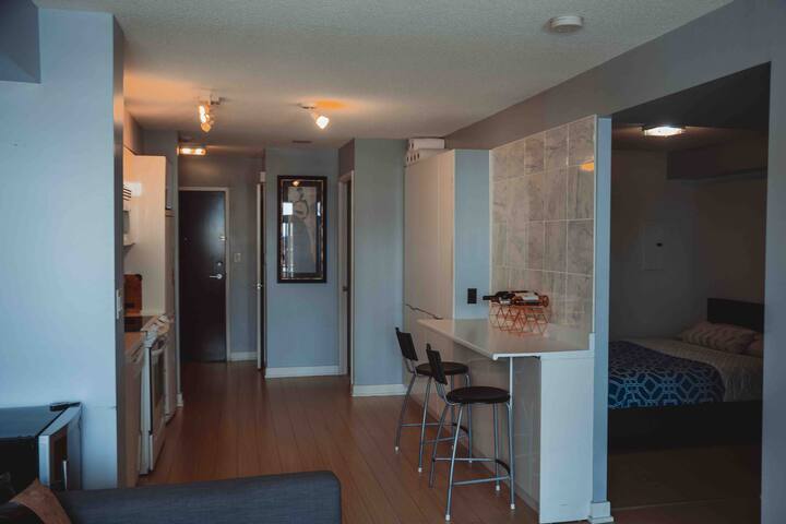 Cozy 2 bedroom steps from CN Tower, Scotiabank. gallery image 2
