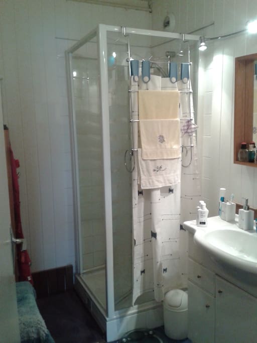 Salle de douche en parfait état