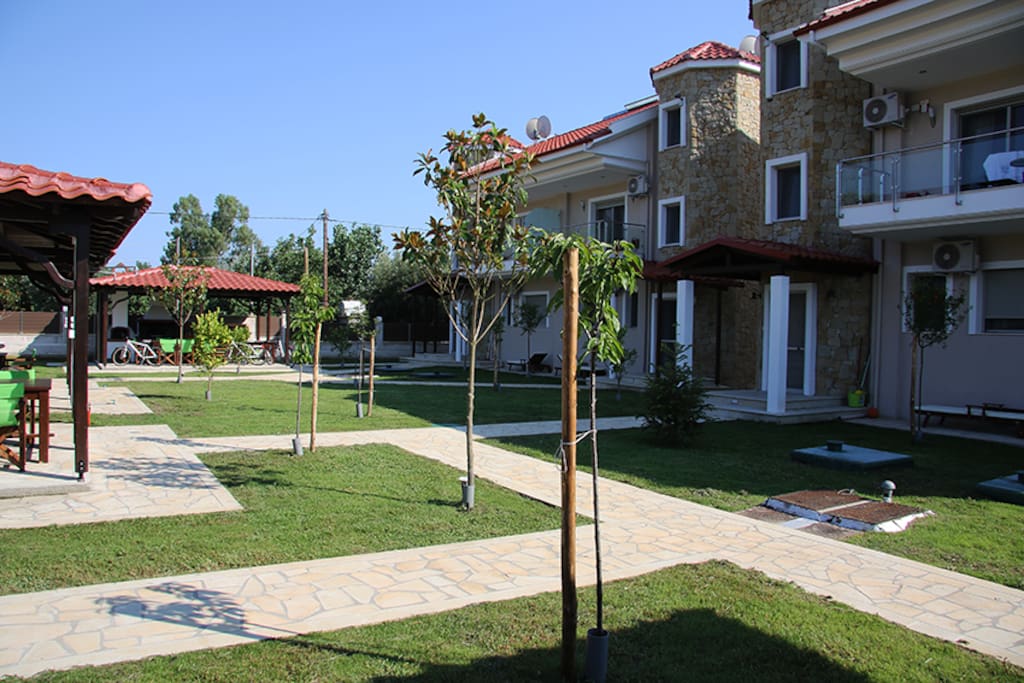 Yard. Двор. Αυλή