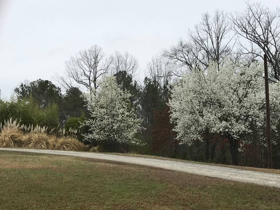 Spring on the farm