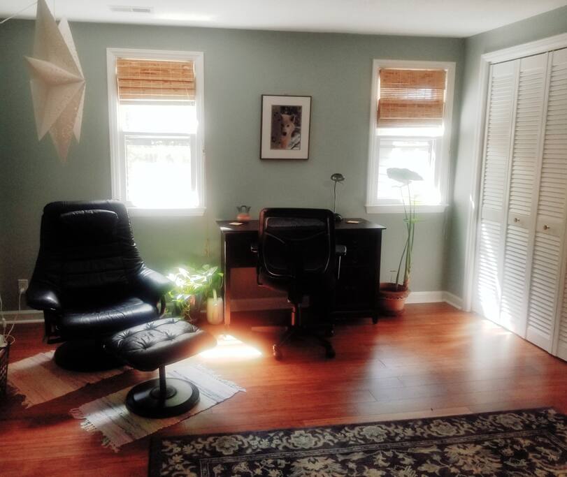 Dragonfly room- large and serene