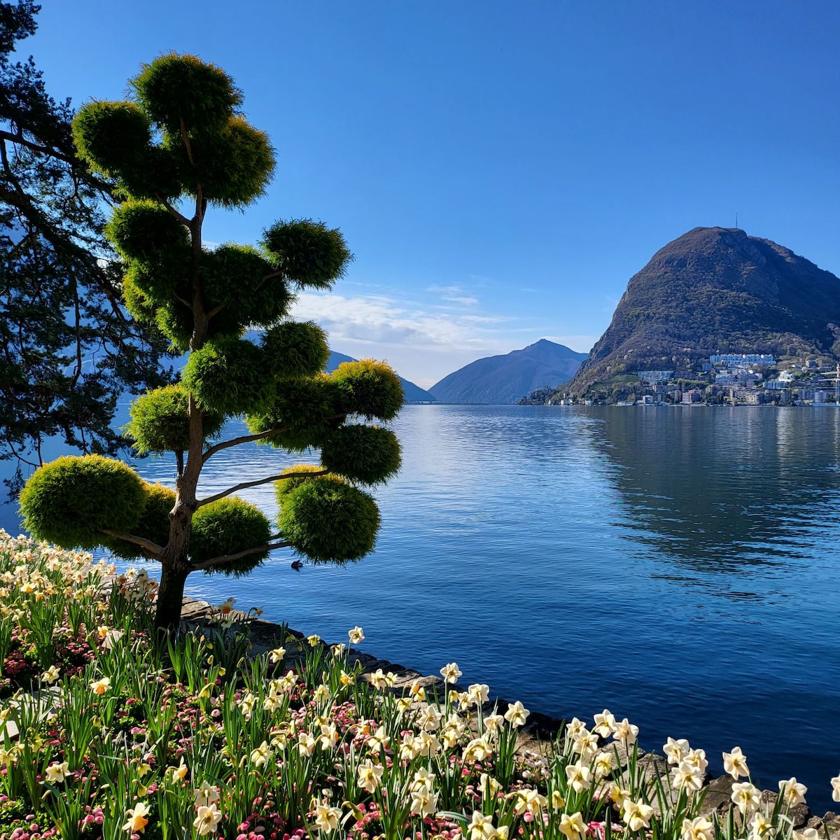 A tranquil lakeside scene features a sculpted tree with lush green foliage alongside a bed of vibrant flowers. The calm water reflects the surrounding hills, creating a serene backdrop. The clear blue sky enhances the peaceful atmosphere of the location.