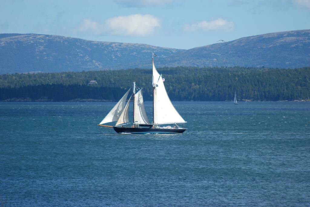 Windjammer sailing past the house.
