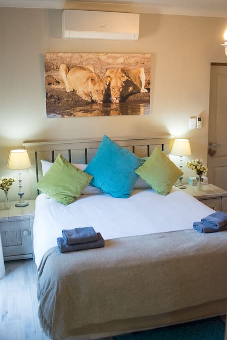 Deluxe Double/Twin Room