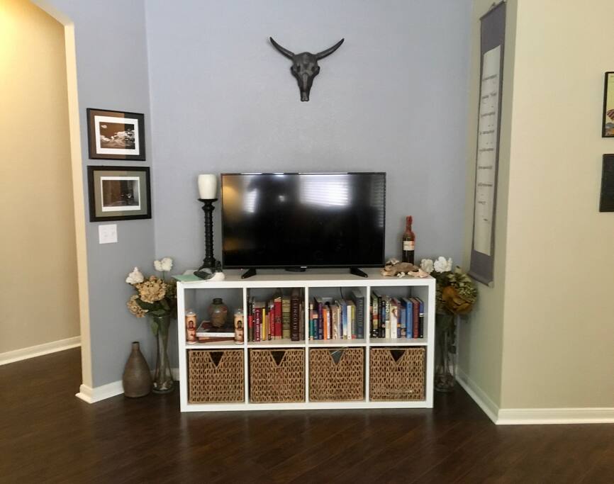 TV with Netflix & HBO Now