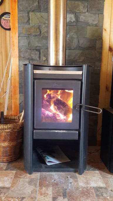 Chimenea encendida