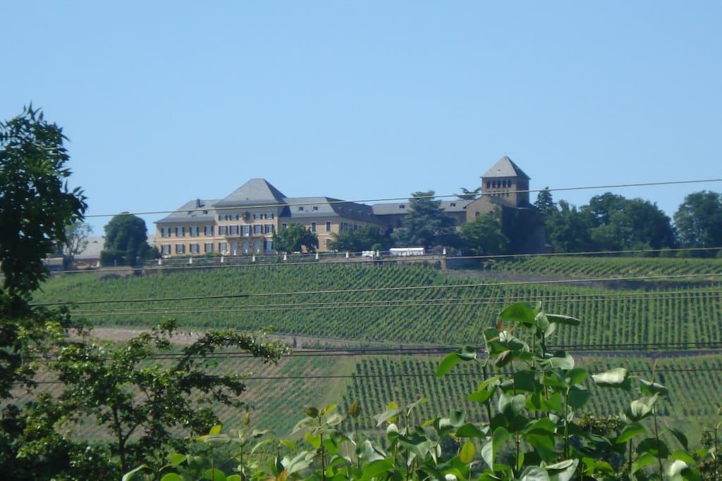 Blick auf Schloss Johannisberg. Dieses ist zu Fuß bei einem wunderschönen Spaziergang erreichbar.