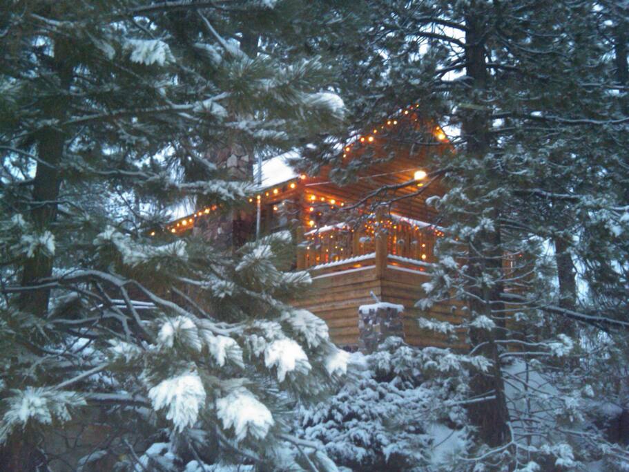 Bearfootin' is adorned with lights of red & white during the holiday season! Holiday decor creates festive ambience!
