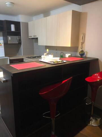 Confortable espacio en el centro de Santiago.