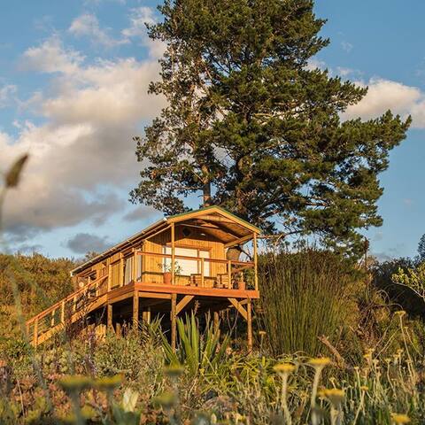 EcoTreehouse luxury off-grid cabin