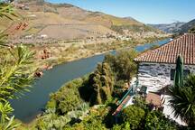 Quinta de Marrocos | Wine & Tourism