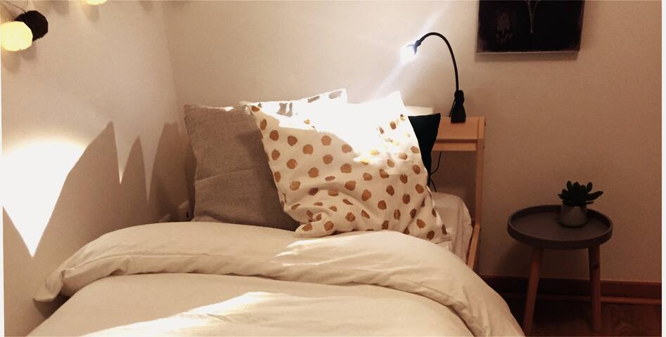 Botanical Room, a cosy space in Belém.