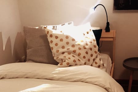 Botanical Room, a cosy space in Belém.