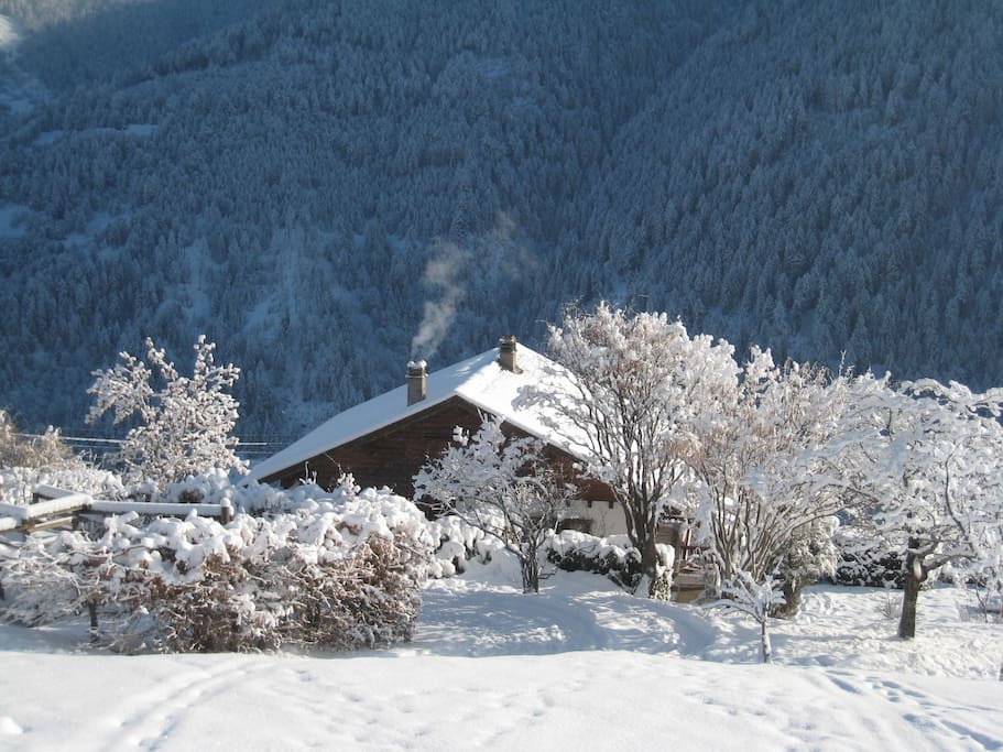 Chalet hiver