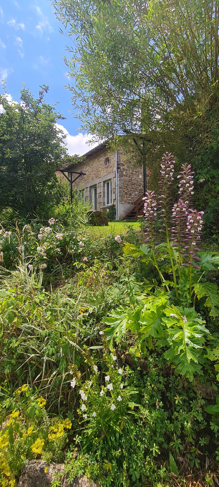 A rustic stone house is visible amid lush greenery, featuring a variety of flowering plants and foliage in the foreground. Steps lead up to the home, framed by trees and vibrant plants that enhance the tranquil setting.