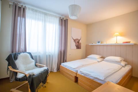 Cosy apartement