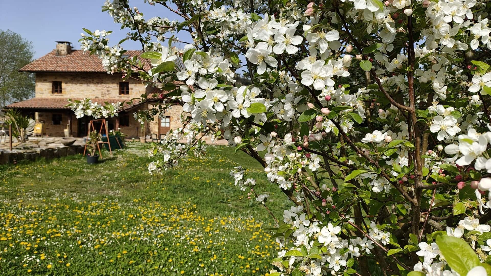 ”EL SALCE Y LA BURRA” Country House