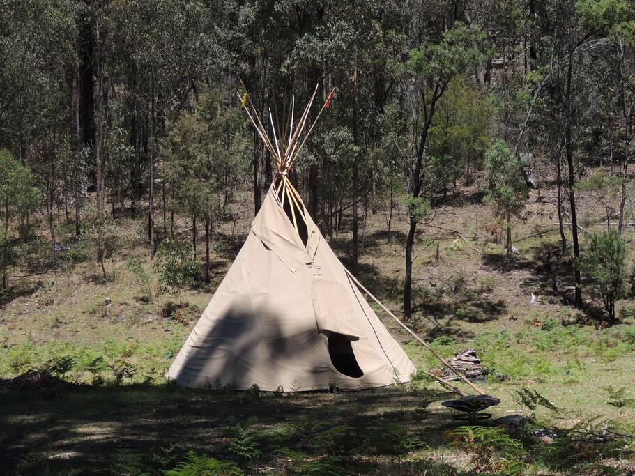 16' tipi
