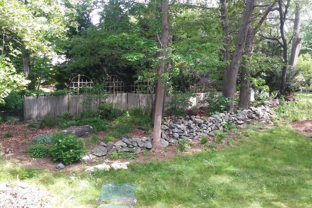 front yard of home