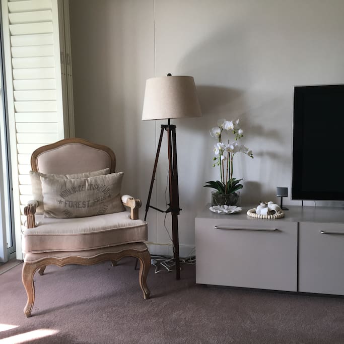 Living Room with TV