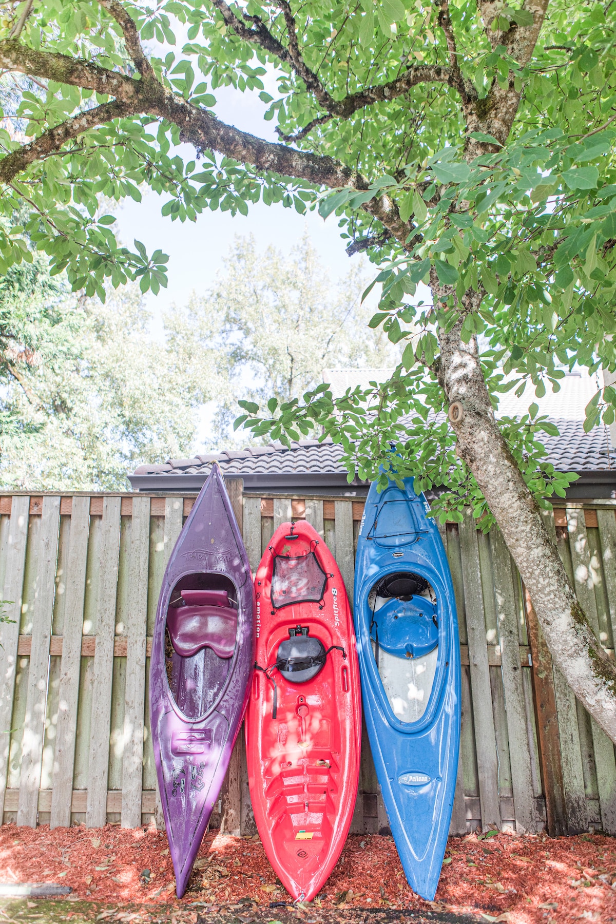 Three kayaks in vibrant hues of purple, red, and blue are arranged against a wooden fence, partially shaded by a tree. The surrounding area features reddish-brown mulch and dappled sunlight filtering through the leaves.
