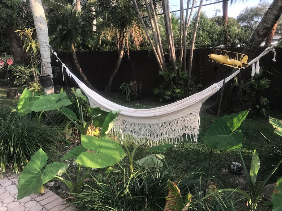Swing among tropical trees and plants during sunset
