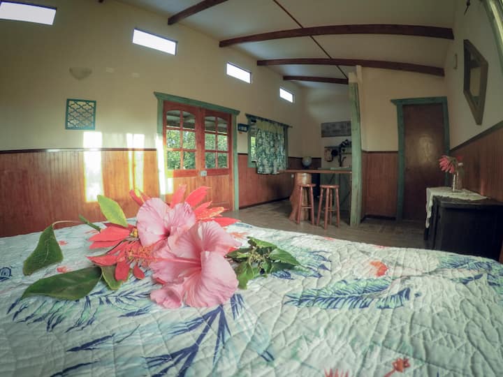 PURAU  ACCOMMODATION  / transfer included